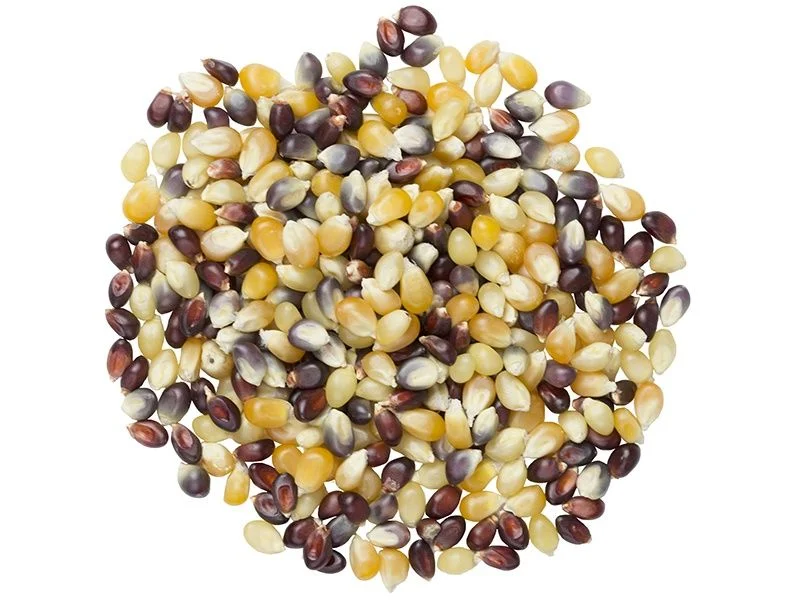 thefoodmill1793849