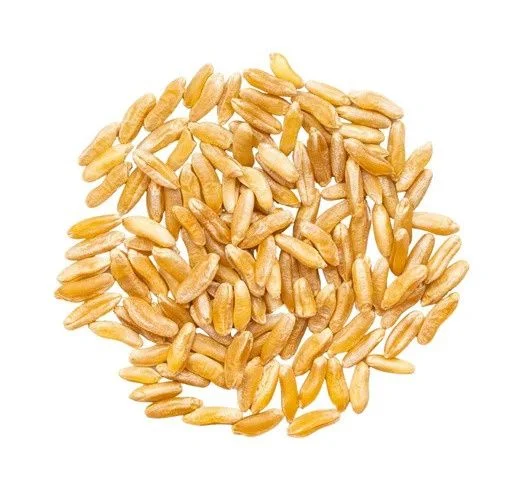thefoodmill1797803